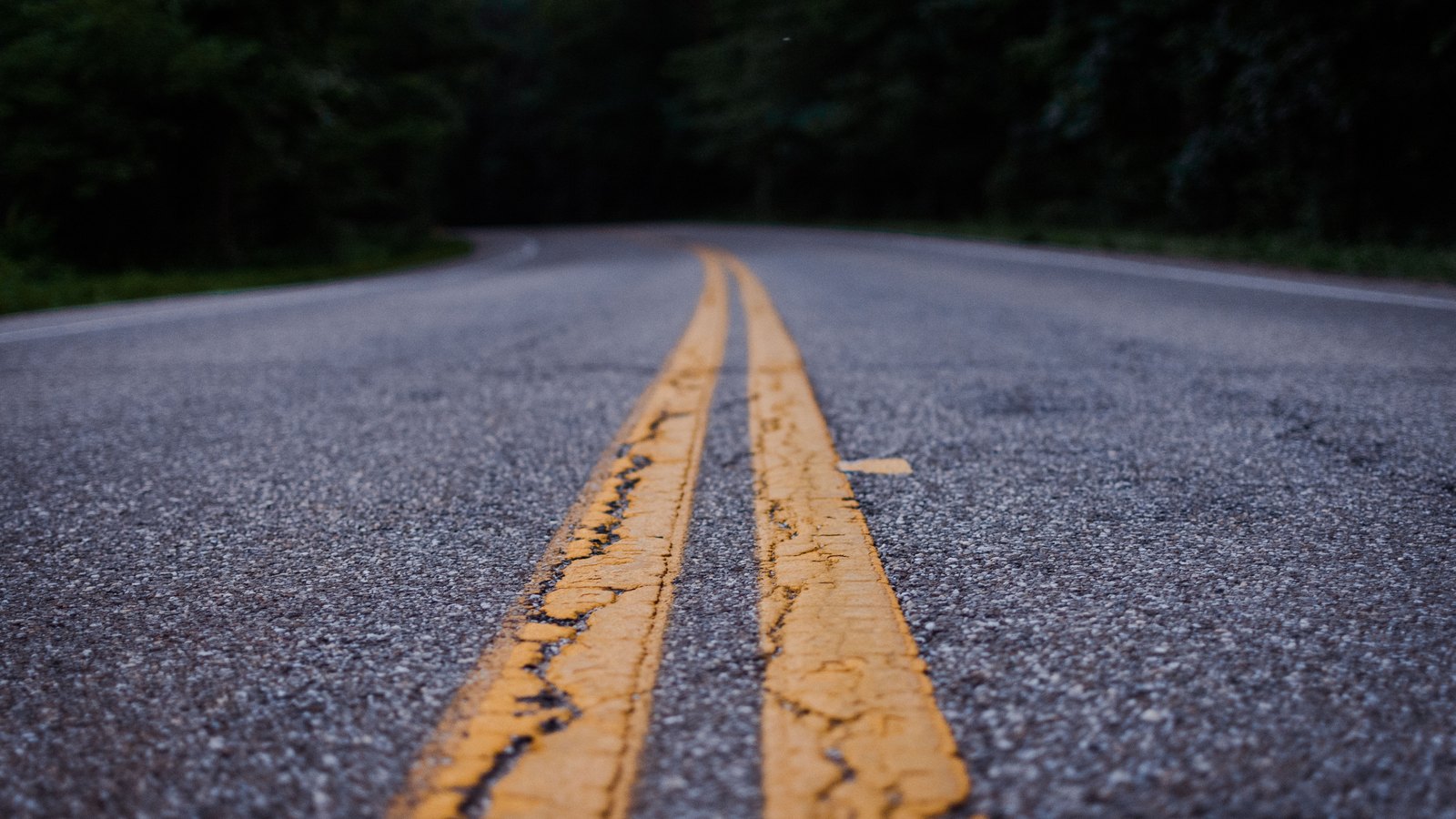 A low angle close crop of dry grey asphalt running away from the camera, carrying a double yellow centre line that is cracked and worn, with blurred dark green trees on both sides in low evening light. No vehicles, people, signage or lettering are visible and no place can be identified from it. An abstract road surface used as a plain illustration, not a photograph of Daniels Parkway, of Interstate 75, of Fort Myers or of this crash, and not evidence about the condition of any road.