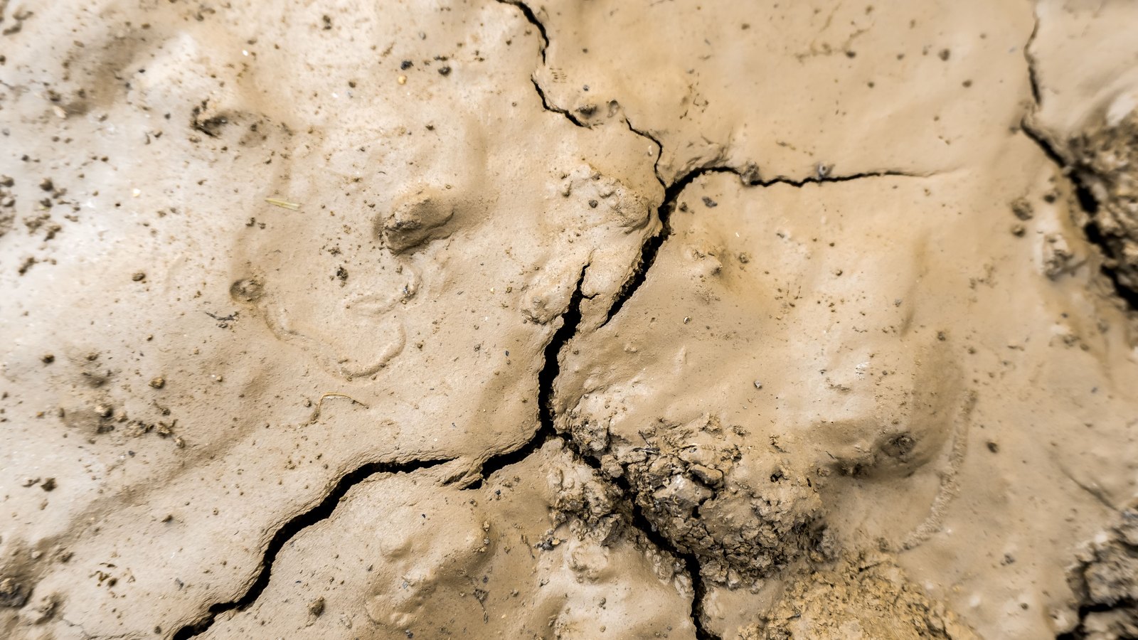 A close photograph looking straight down at dried mud, filling the frame. Pale tan crusted plates are separated by dark fissures that fork across the surface, with darker crumbled clods and loose grit scattered over them. No object, person, lettering or brand mark is in the frame.