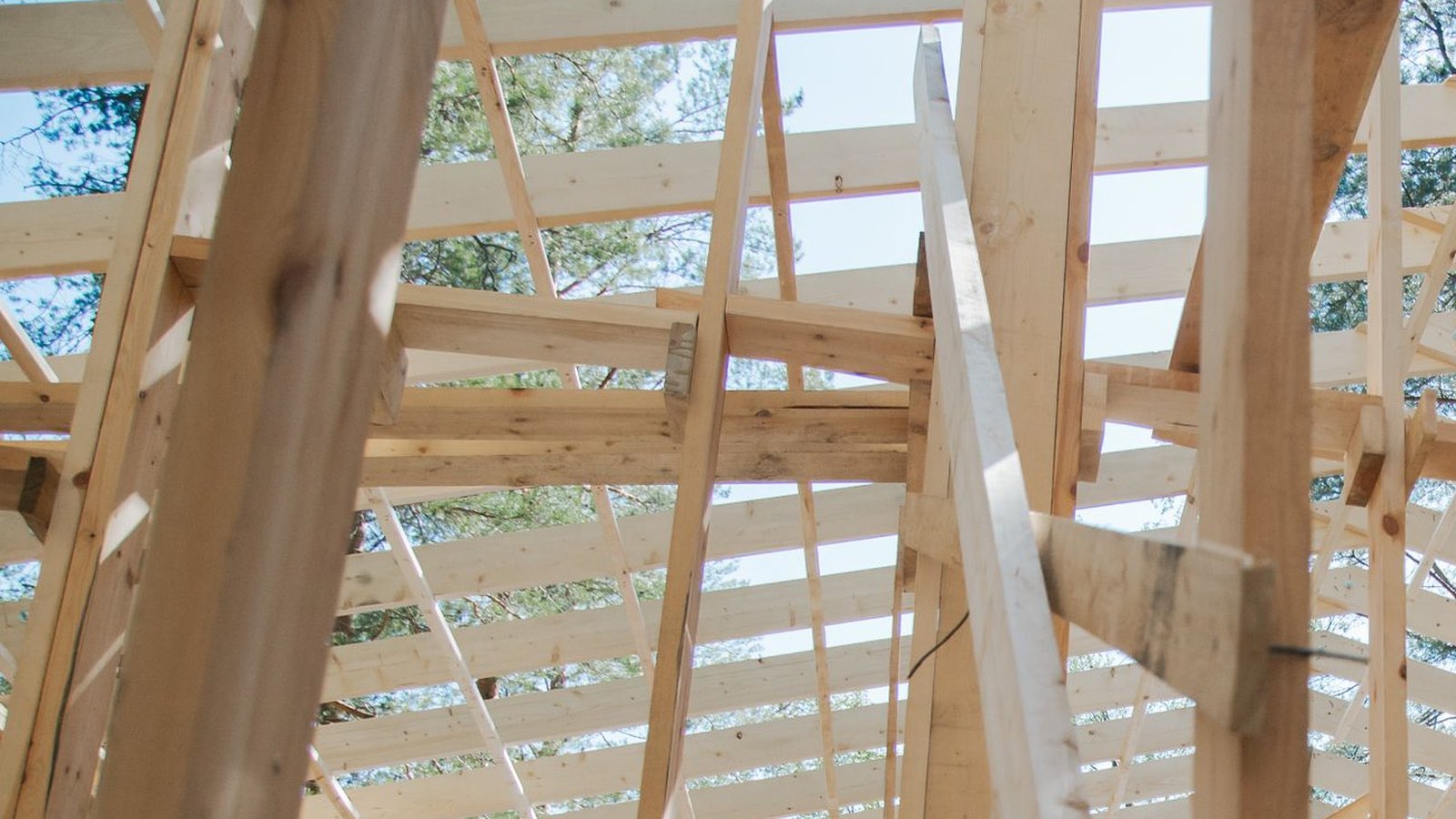 Looking up through the bare timber frame of a house under construction, with pale wooden posts, beams and roof rafters against a blue sky and pine branches.