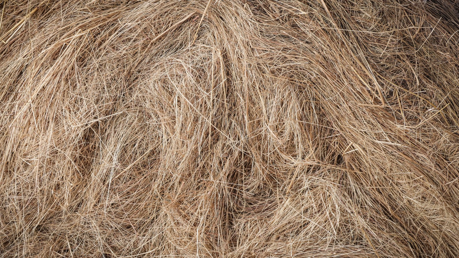 A dense tangle of dry straw fills the entire frame, pale gold stalks crossing one another in every direction with darker gaps between them. No bale edge, text, brand mark, person or sky is in view.