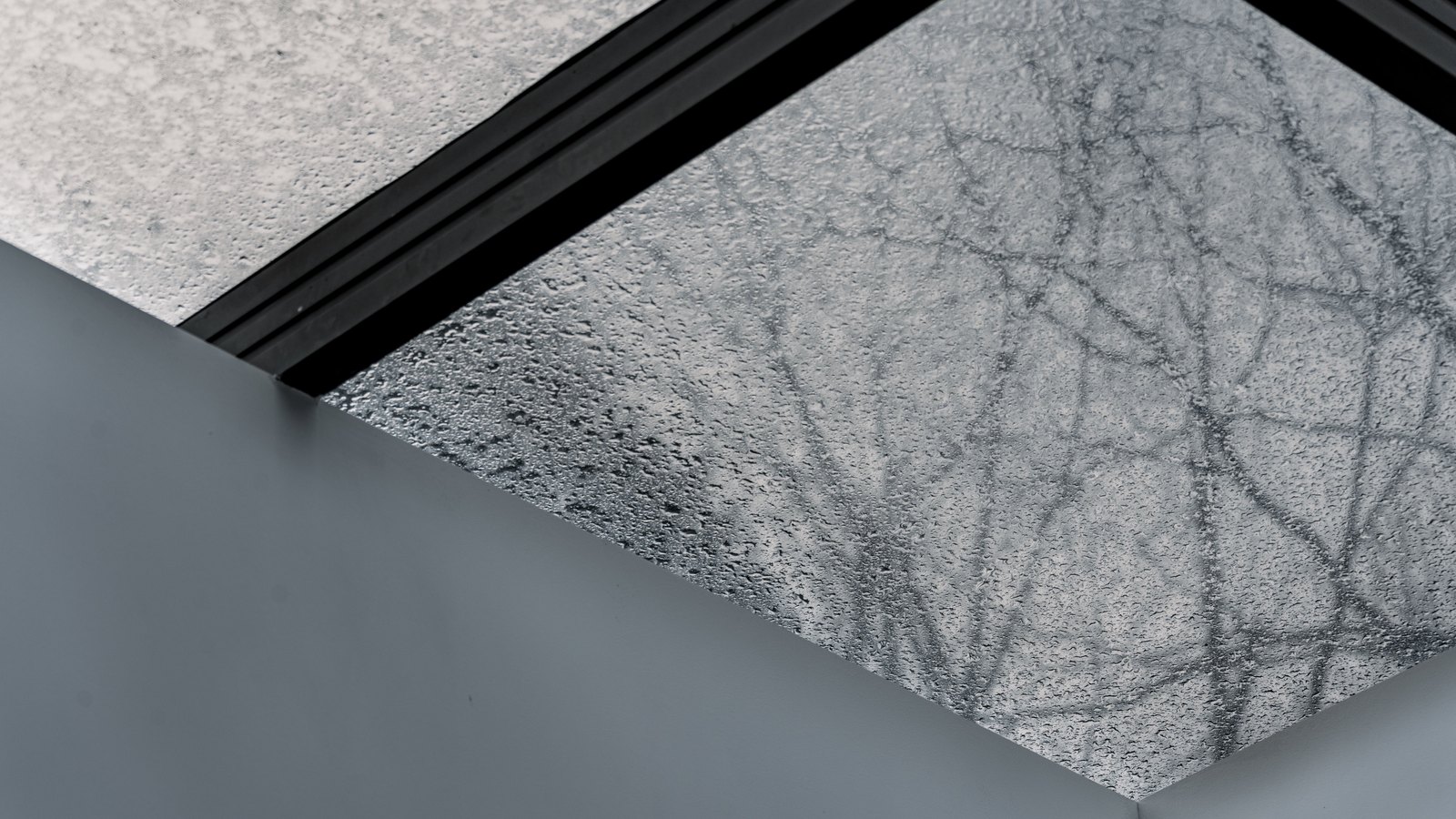 Looking up at a frosted glass roof panel from below, the blurred shadows of bare tree branches spread across its heavily textured surface, with black glazing bars crossing the upper left and a plain grey soffit in the lower left corner.
