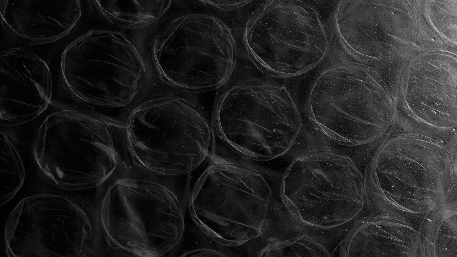 A close photograph of a sheet of clear plastic bubble wrap lit from one side against a dark ground, the domes filling the whole frame in loose rows, each one soft edged and faintly creased, the light rising towards the right of the frame. No text, brand mark, person or place is in view.