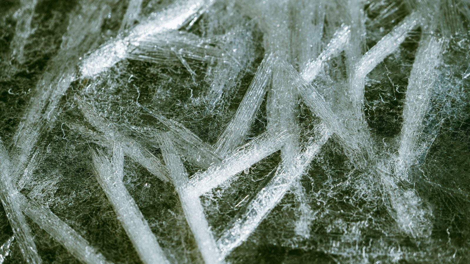 A photograph illustrating dense pattern of fine white crystalline needles filling the frame macro.