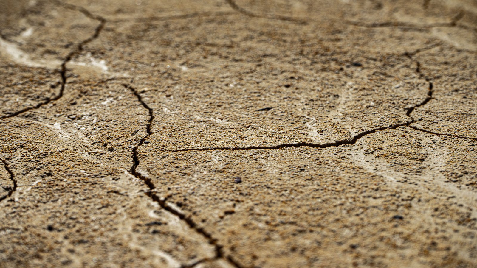 A close view of dry cracked earth, tan and pale brown, with deep fissures running across a crust of baked soil.