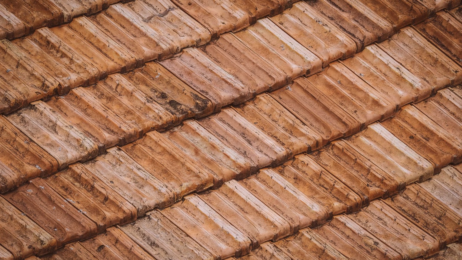 Overlapping rows of weathered terracotta roof tiles running diagonally across the frame, their orange clay streaked with pale mineral staining and darker patches of dirt.