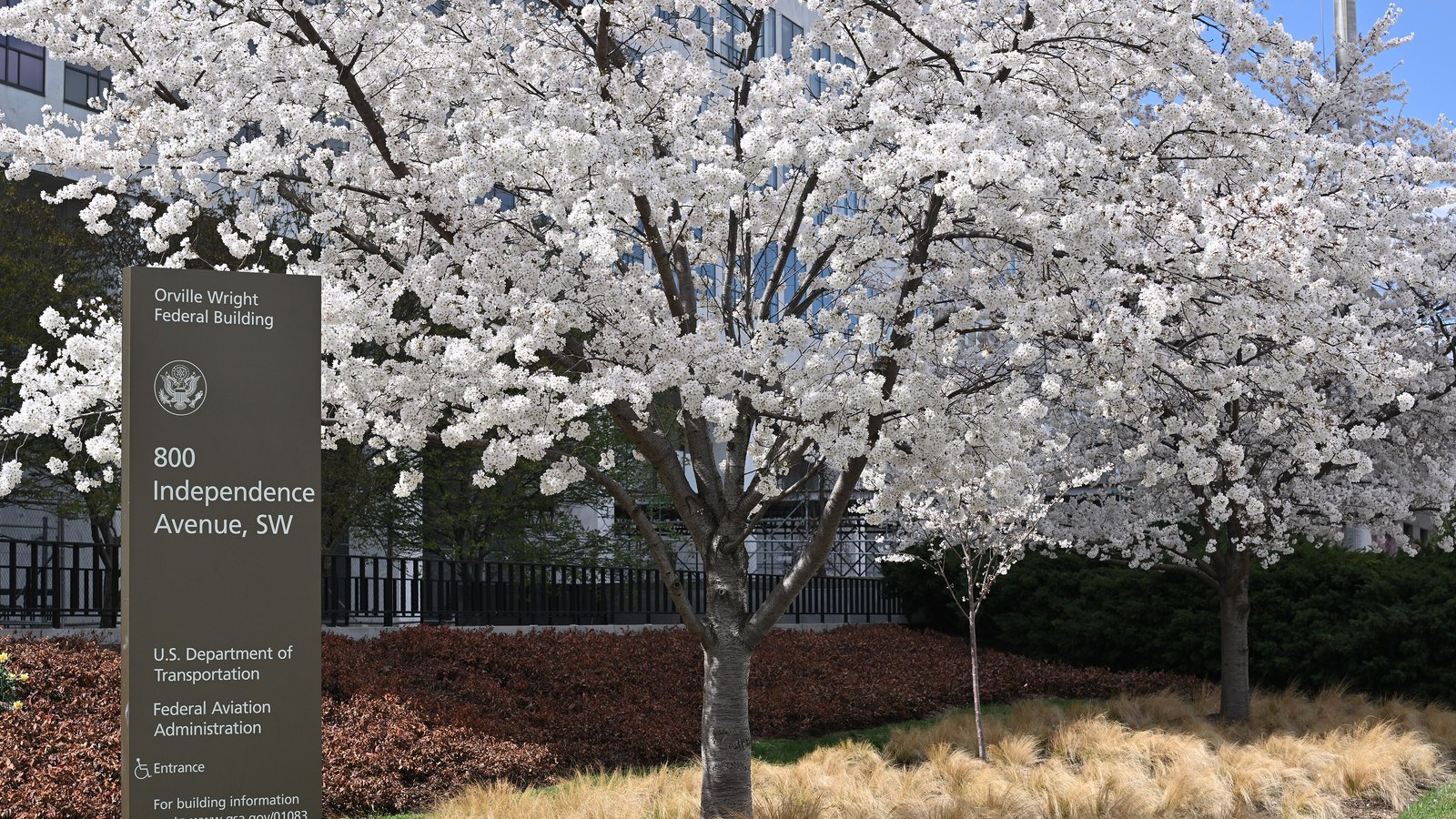The Orville Wright Federal Building sign names the Federal Aviation Administration outside the agency's Washington headquarters, framed by white flowering trees.
