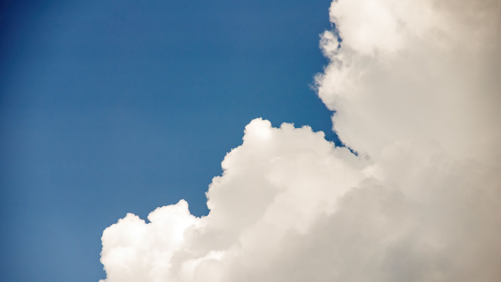 A photograph of a bank of white cumulus cloud rising from the lower right of the frame against a clear deep blue sky, the cloud edges brightly lit and the upper left empty sky, with no aircraft, ground or lettering in the picture.
