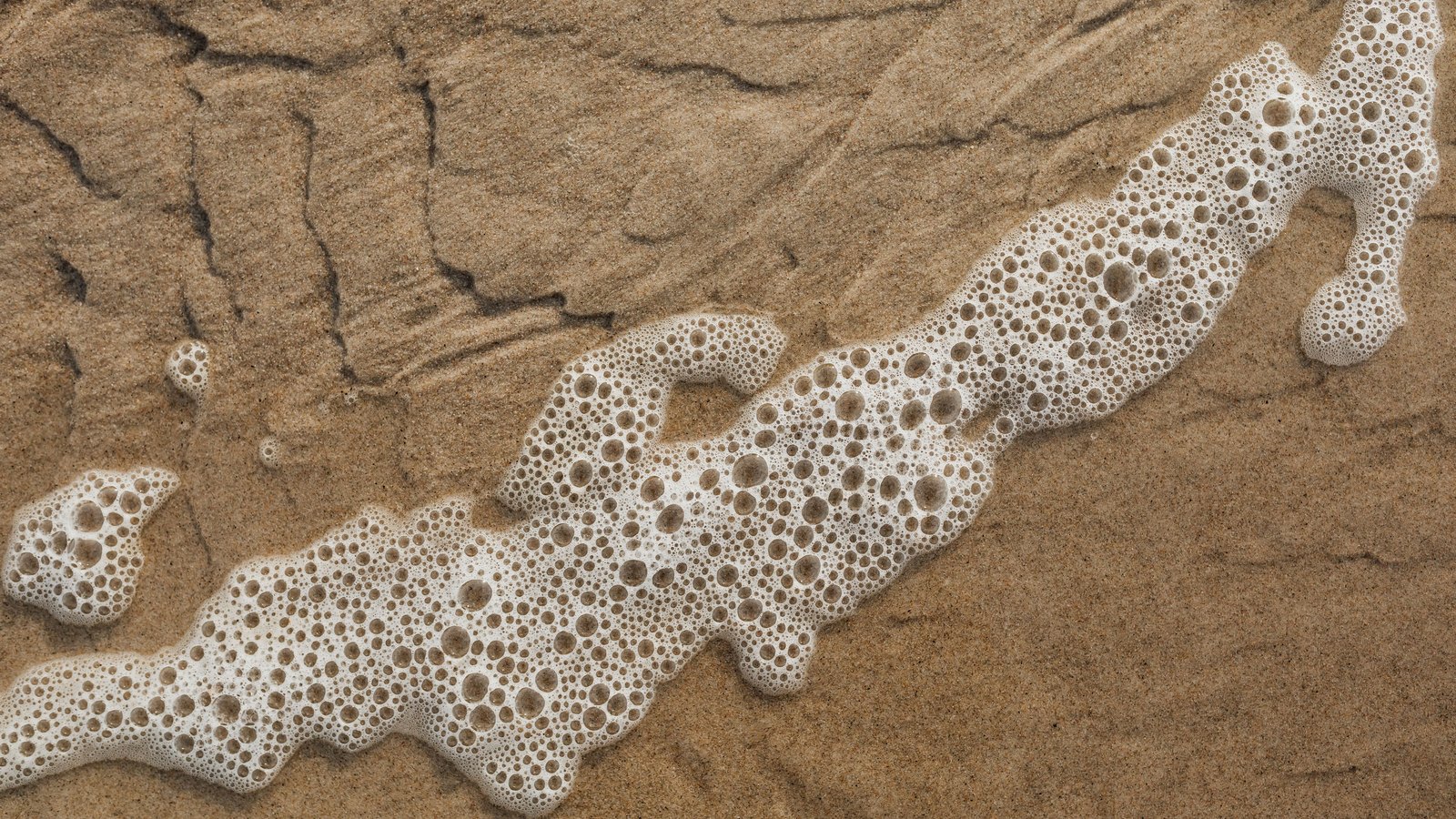 A macro of white sea foam lying in a diagonal band across rippled wet brown sand, the bubbles ranging from pinhead size to a centimetre across.