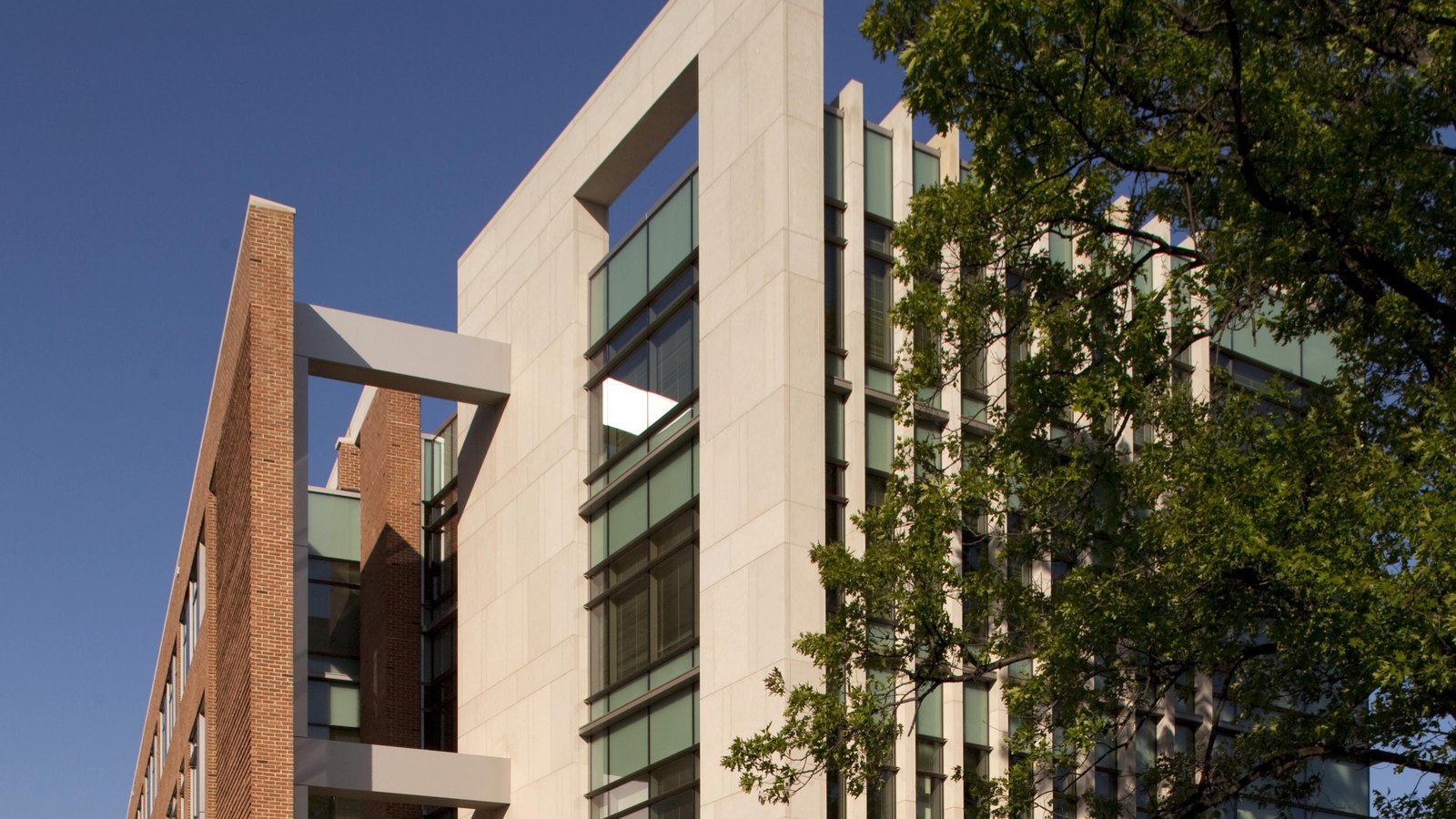 A daylight photograph of the facade of a modern institutional office building on the Food and Drug Administration campus, pale limestone panels beside a projecting red brick wing, tall windows of green tinted glass in vertical bays, a leafy tree across the right of the frame and clear blue sky above. No people, vehicles, signage, text or logo are in view.