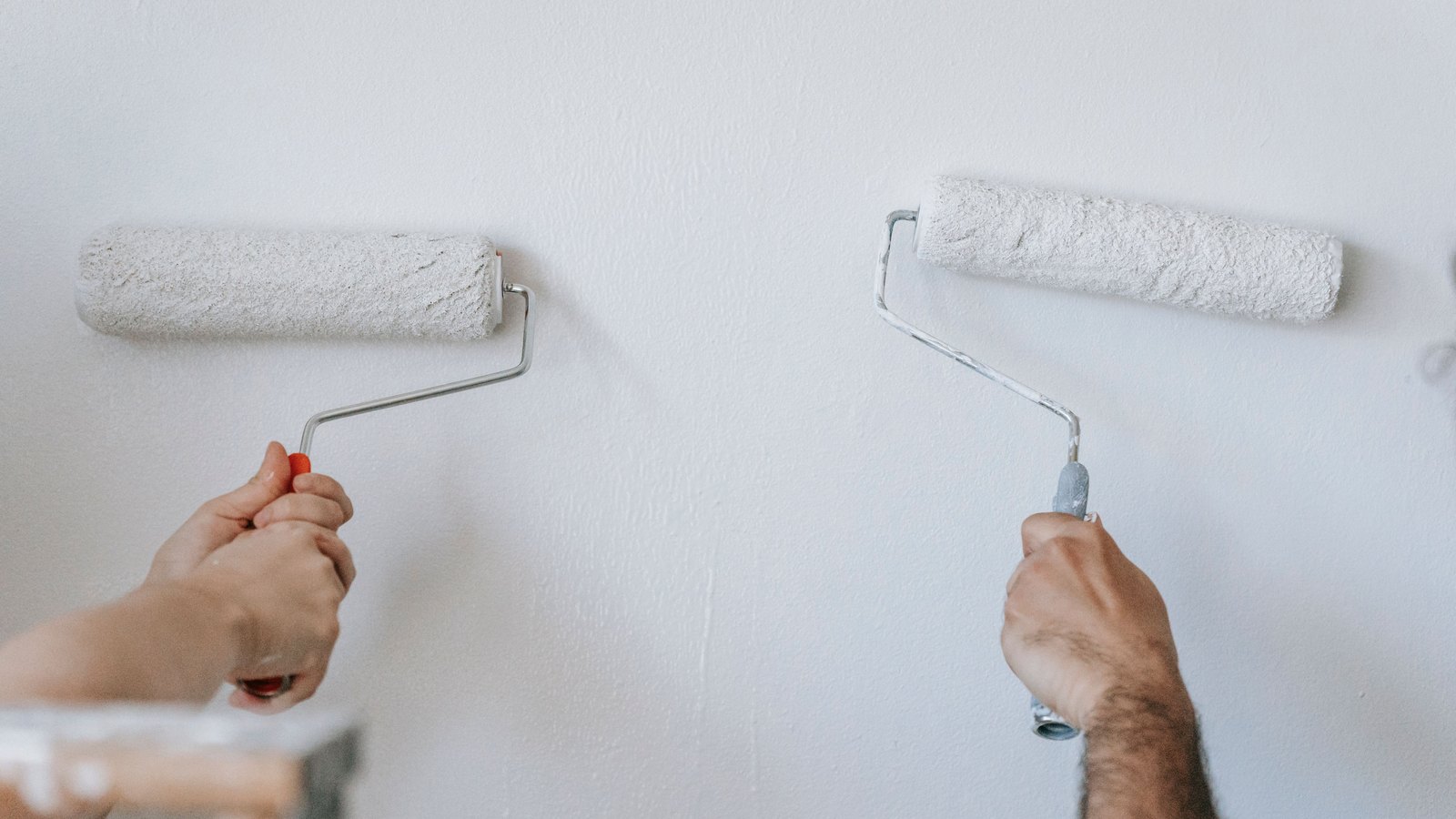 Two hands running loaded paint rollers over a plain white wall.