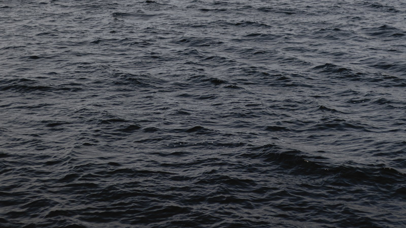 A close photograph of open sea water filling the whole frame, small wind driven waves crossing the surface in dark grey and slate blue with pale crests catching the light, and no horizon, shoreline or vessel in view.