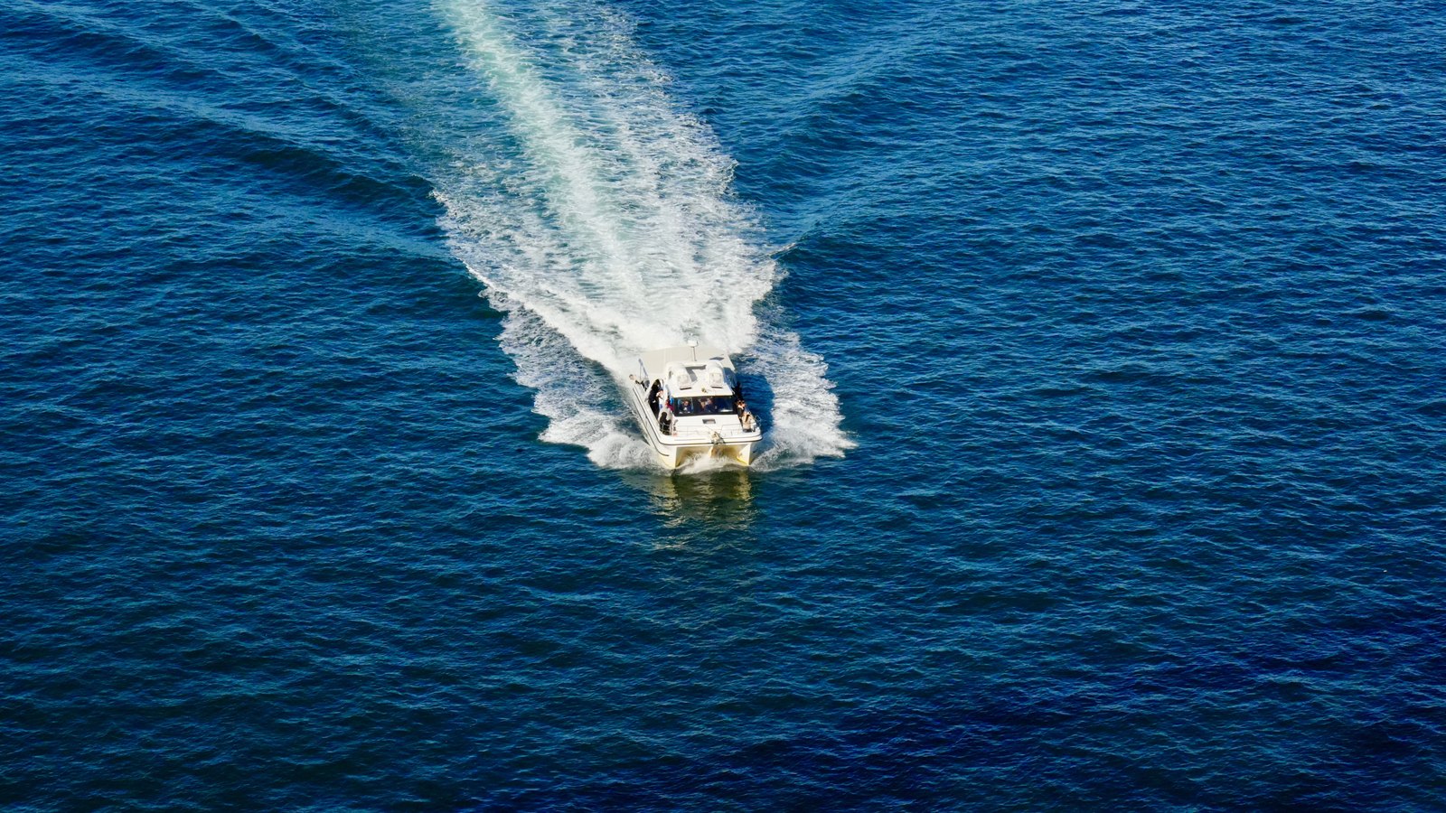 An aerial photograph looking down on a white powerboat running at speed across deep blue open water, throwing a broad white wake that splits into two long arms behind it. There is no land, no shoreline, no horizon and no other vessel in the frame. Nobody in the boat is identifiable, and there is no hull number, no name, no flag, no sponsor livery and no lettering of any kind anywhere in the picture. Stock photograph, not a photograph of this event.