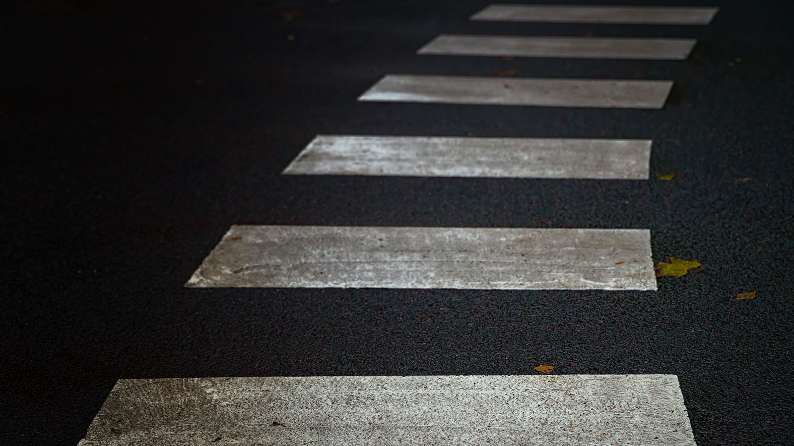 White painted crosswalk bars receding in a line across dark asphalt in low light, with a few fallen leaves at the edges and no signs, vehicles, people or text in view.