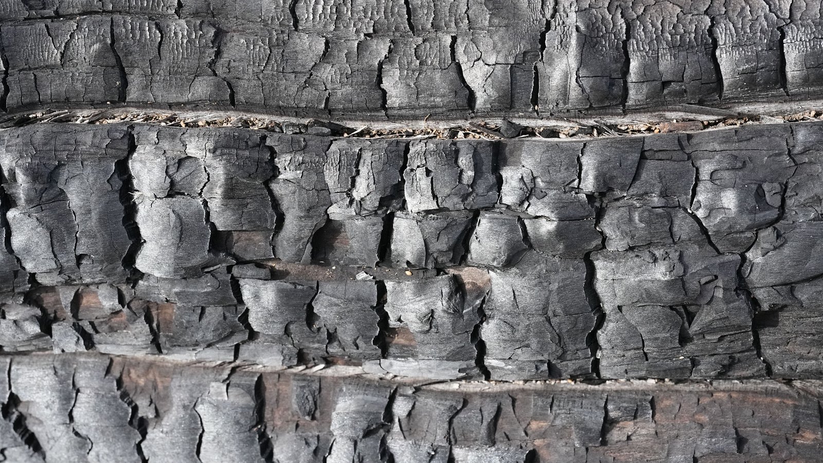 A close crop of burnt wood filling the frame, banded into four rough horizontal layers of blackened and grey charred bark that has cracked into deep vertical fissures and flaking blocks, with a little unburnt brown grain and grit showing along the seams. No people, buildings, vehicles, signage or legible text are in the frame, and no location can be identified from it. An abstract charred timber texture used as a plain illustration, not a photograph of the Meadow Avenue house or of this fire.