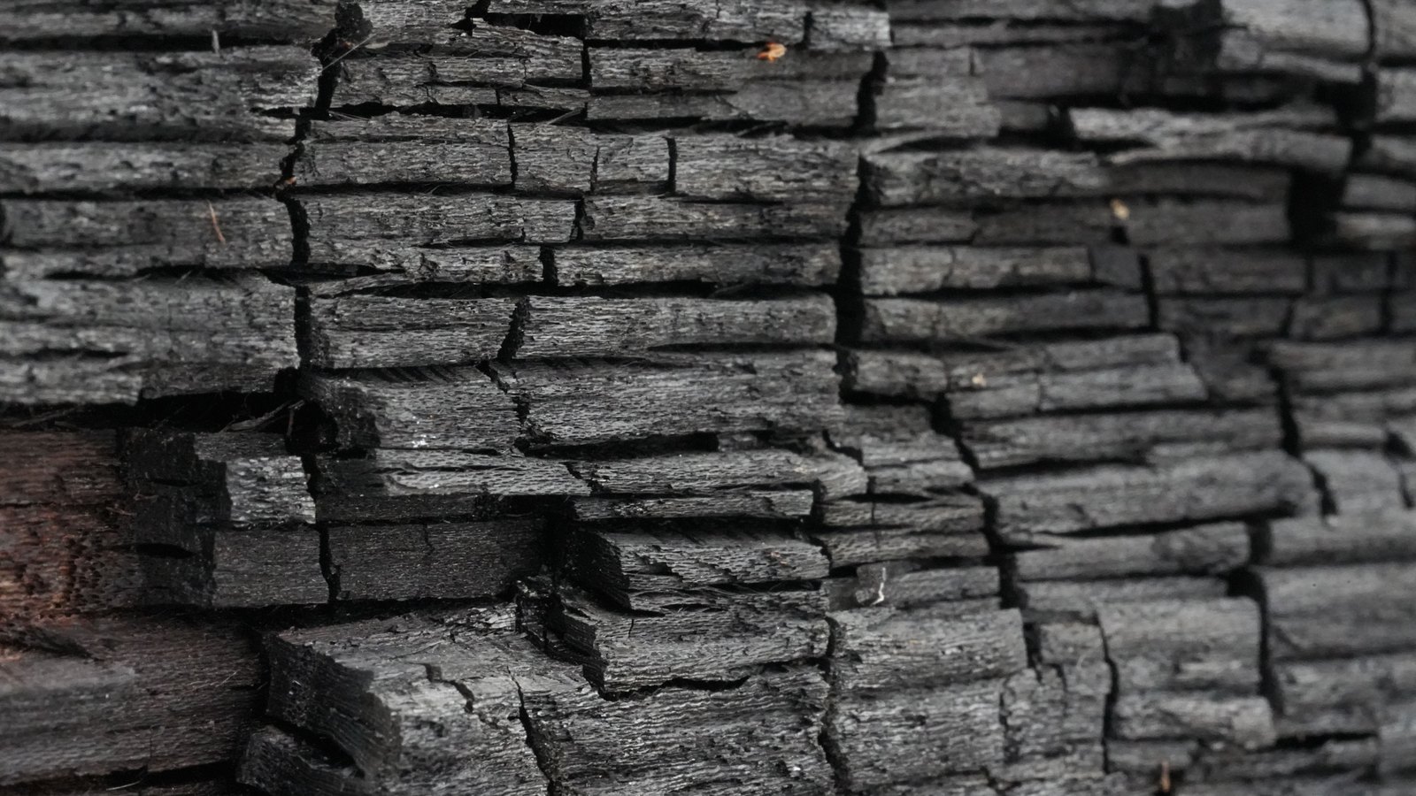 A tight close crop of charred wood, blackened and cracked into layered flakes across the whole frame, with one small patch of unburnt reddish grain showing at the lower left. No people, buildings, vehicles, signage or legible text are visible, and no location can be identified from it. An abstract burnt timber texture used as a plain illustration, not a photograph of the Meadow Avenue house or of this fire.