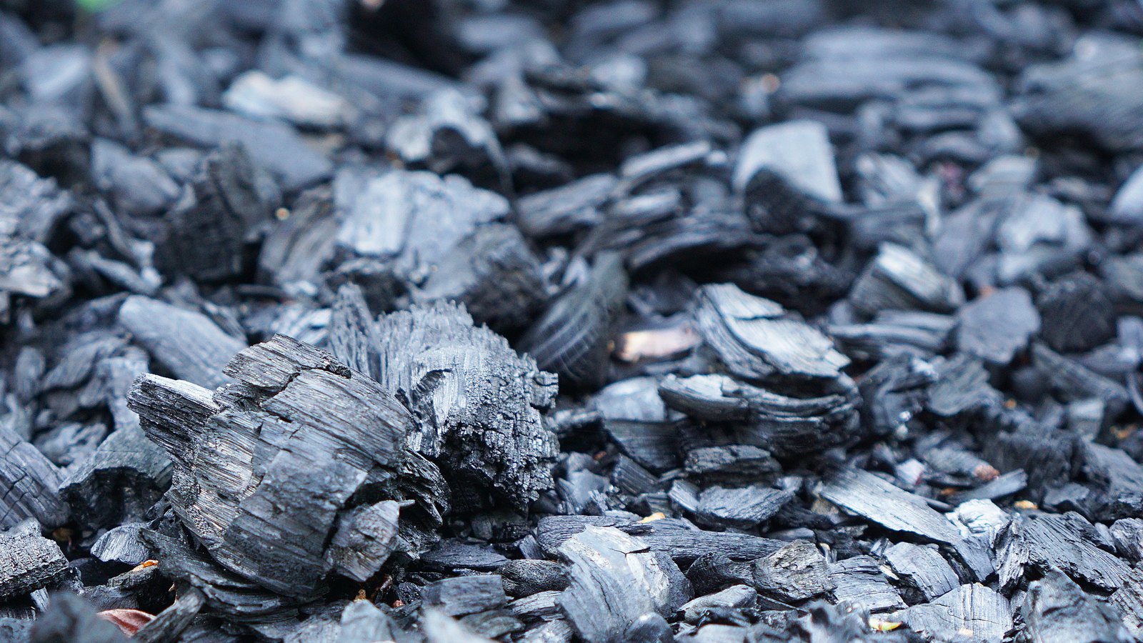 A close crop of burnt wood broken into charcoal, the pieces grey and black with the grain still visible along the splintered edges and one faint warm highlight near the centre. No people, buildings, vehicles, signage or lettering are visible and no place can be identified from it. An abstract texture used as a plain illustration, not a photograph of the Stella Street fire, of the house involved or of its aftermath.