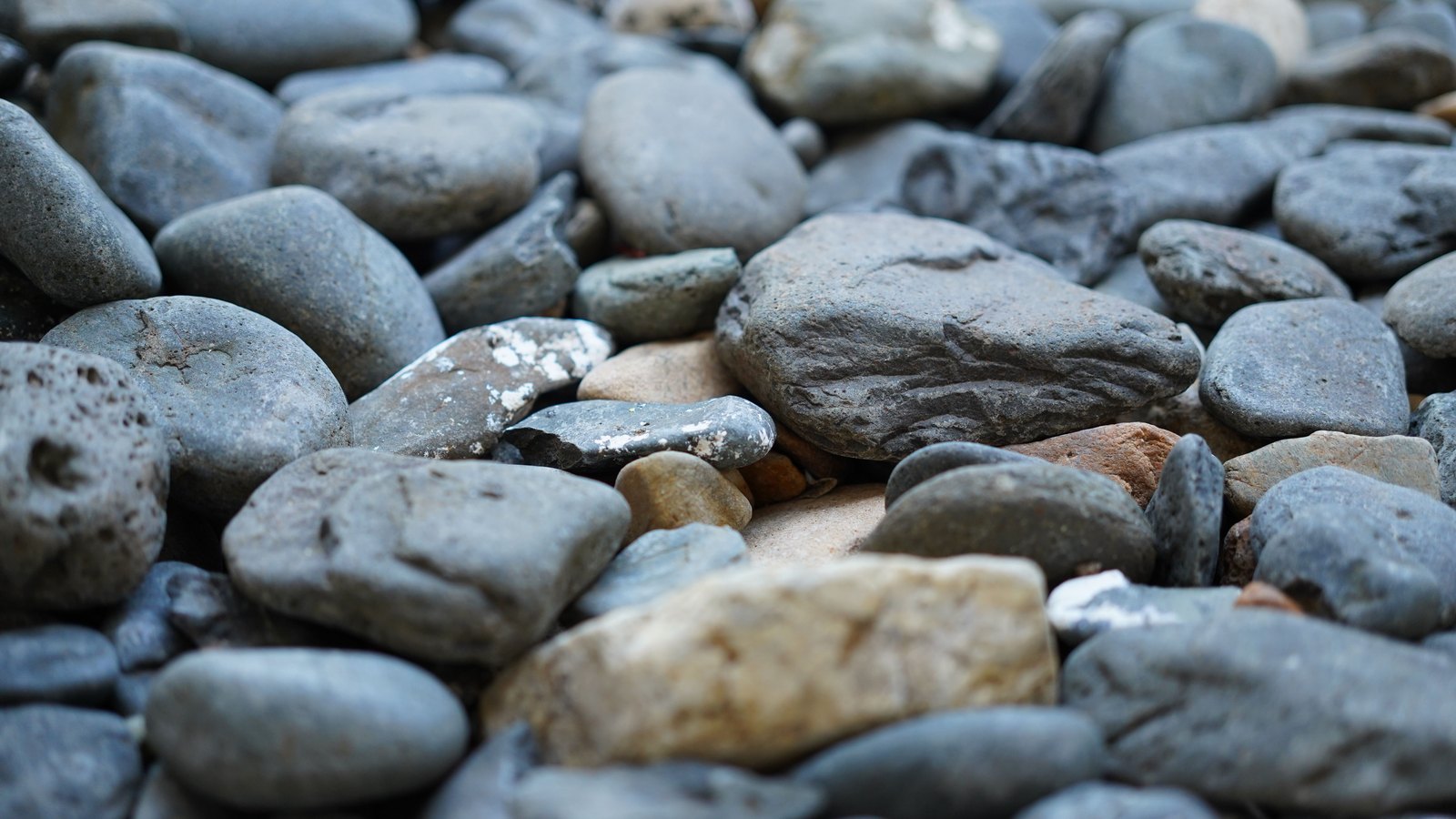 A close photograph of a bed of water-smoothed pebbles filling the frame, mostly grey with a few tan and rust-coloured stones among them, the nearest ones sharp and the back of the pile falling out of focus. No text, no people and nothing identifying the location.