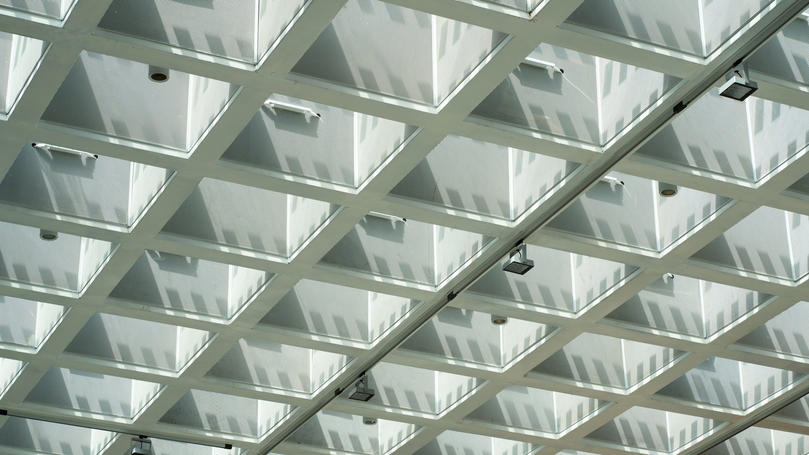 A white coffered ceiling photographed from below at an angle, deep square recesses in regular rows filling the whole frame, daylight falling across the panels and casting soft diagonal shadows into each coffer, with a slim service rail and small spotlights crossing the grid.