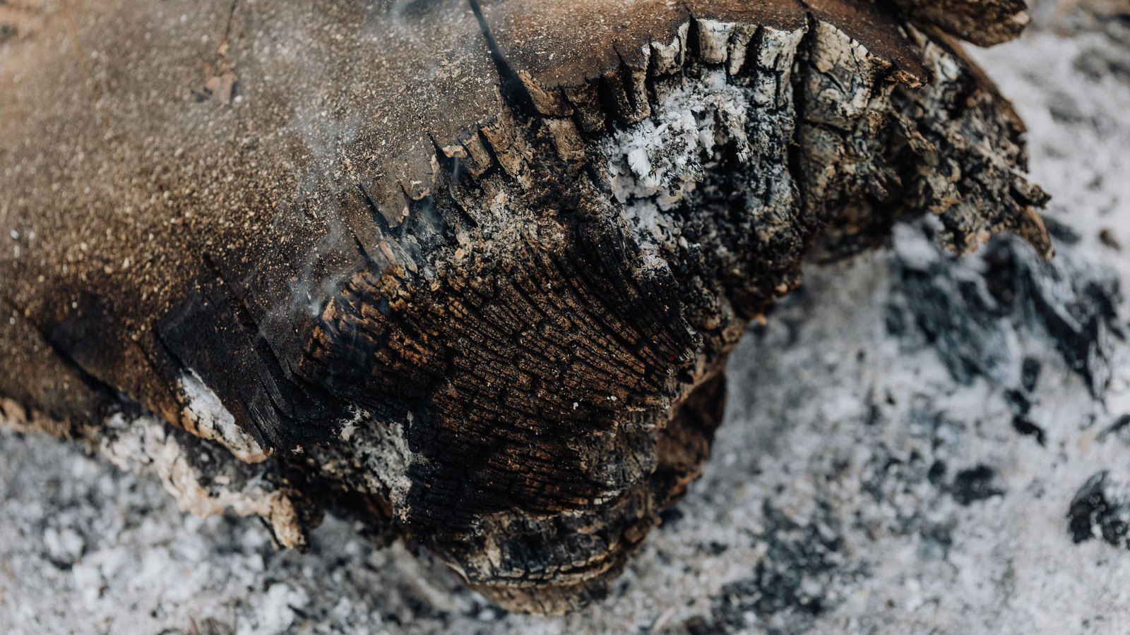 A charred log resting on a bed of pale grey wood ash, its split grain blackened and cracked, with a thin wisp of smoke rising from the surface.