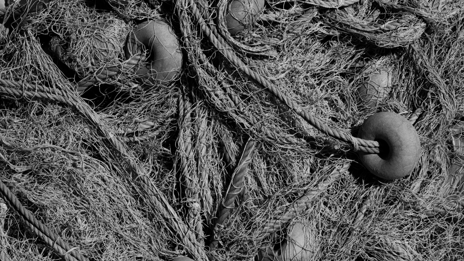 A heap of frayed fishing net and twisted rope in black and white, filling the frame, with three smooth round floats threaded on the ropes and no markings on any of them.