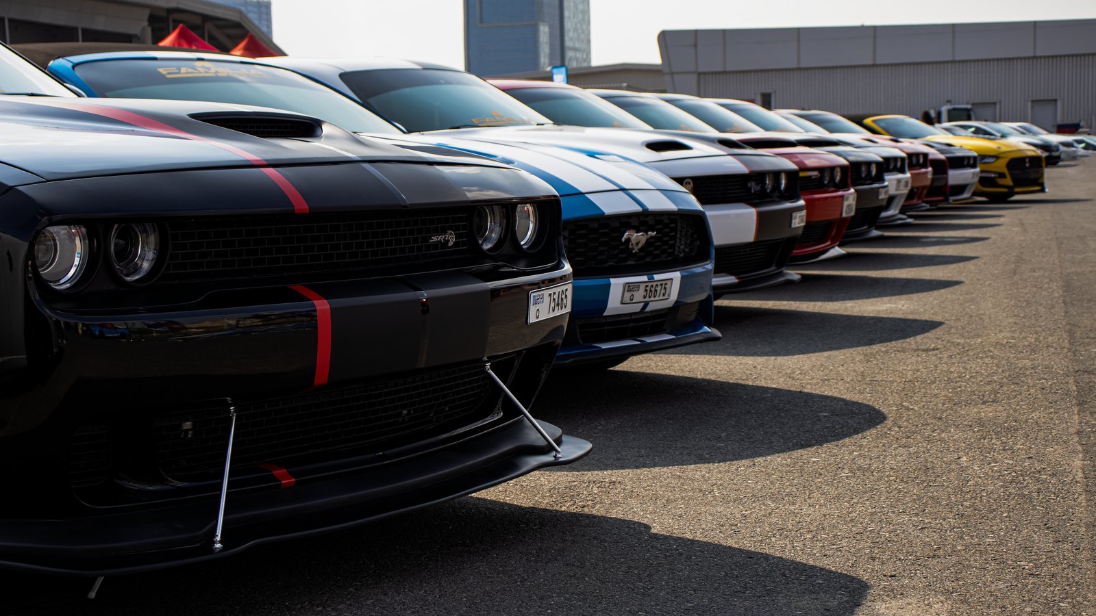 A row of American muscle cars parked nose out at a car gathering.