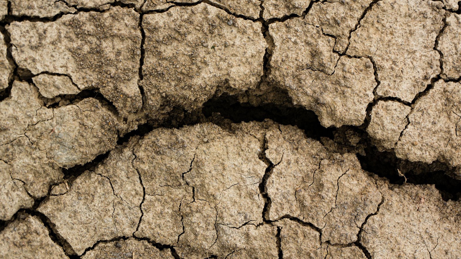 A close overhead photograph of dry cracked ground, the pale beige crust broken into irregular plates by dark fissures, with a deeper gap running across the middle of the frame.