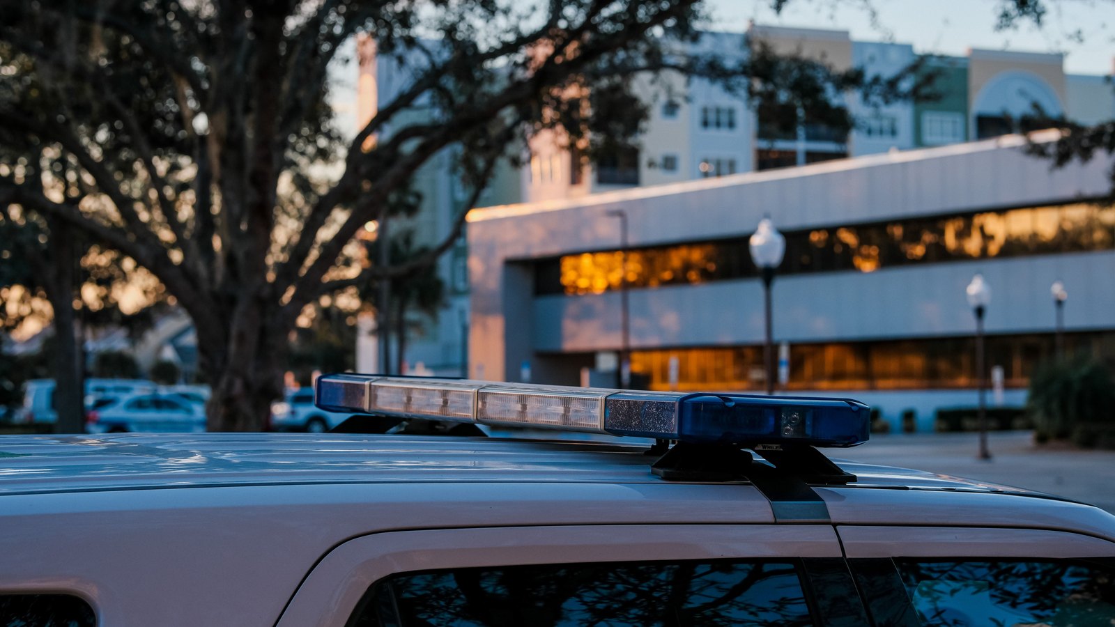A close view of the blue and white emergency light bar on the roof of a white patrol vehicle at dusk, with a live oak draped in Spanish moss and a pale low rise building out of focus behind it. No lettering, badge, number plate or landmark is legible anywhere in the frame. It is a stock photograph and not a photograph of this event.