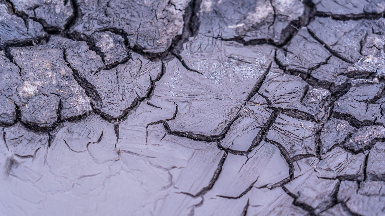 A close crop of grey cracked dried mud, broken into dark plates with pale silt between them, used as an illustration. It is not a photograph of Interstate 75 or of this crash.