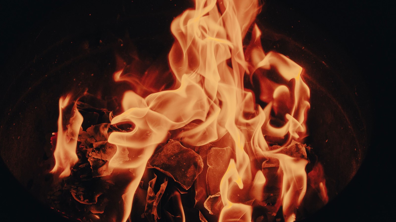 Orange and pale yellow flames rising from burning wood and embers in a fire pit, filling the frame against a black background. No vehicle, road, sign, person, building or legible text is in view, and no location can be identified from it. A plain illustration of fire, not a photograph of this vehicle fire or of Interstate 75.