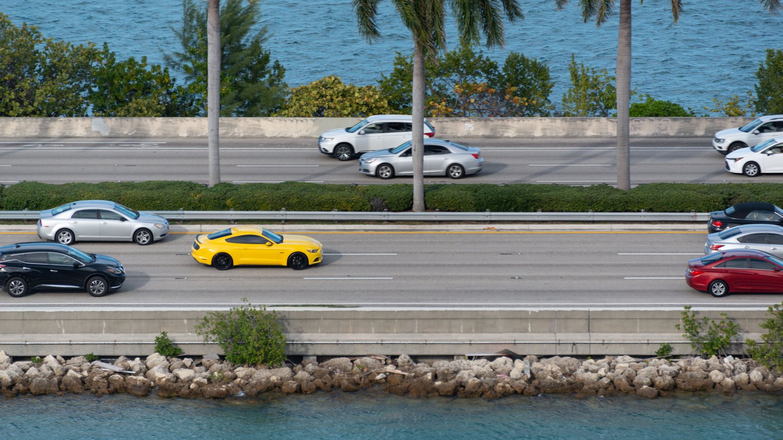 Traffic moves along a palm-lined divided highway beside water. Stock photo, not the I-75 project corridor.