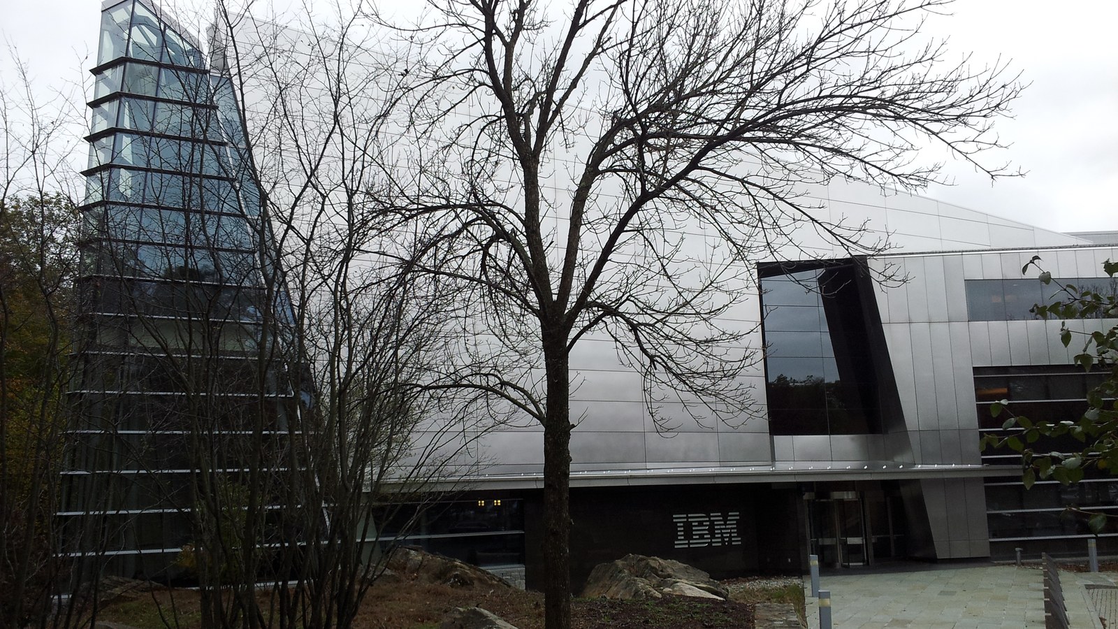 A bare tree in front of a modern office building clad in brushed metal panels, with a tall angled glass atrium on the left and the IBM name on the dark wall beside the entrance.
