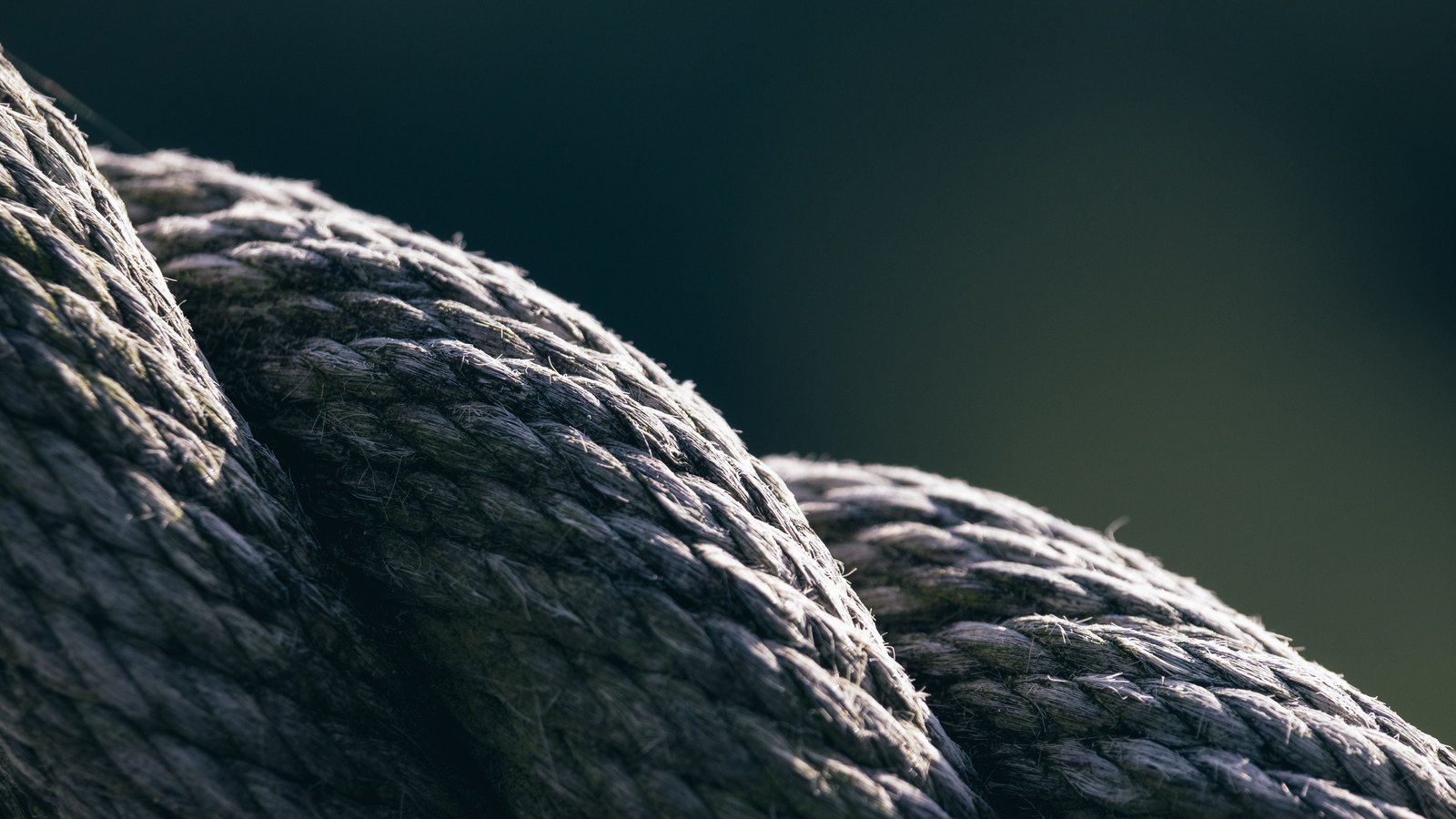 A close photograph of thick braided rope coiled on itself, the plaited strands and loose fibre ends picked out by low light against a dark, unfocused background. Nothing else is in the frame.