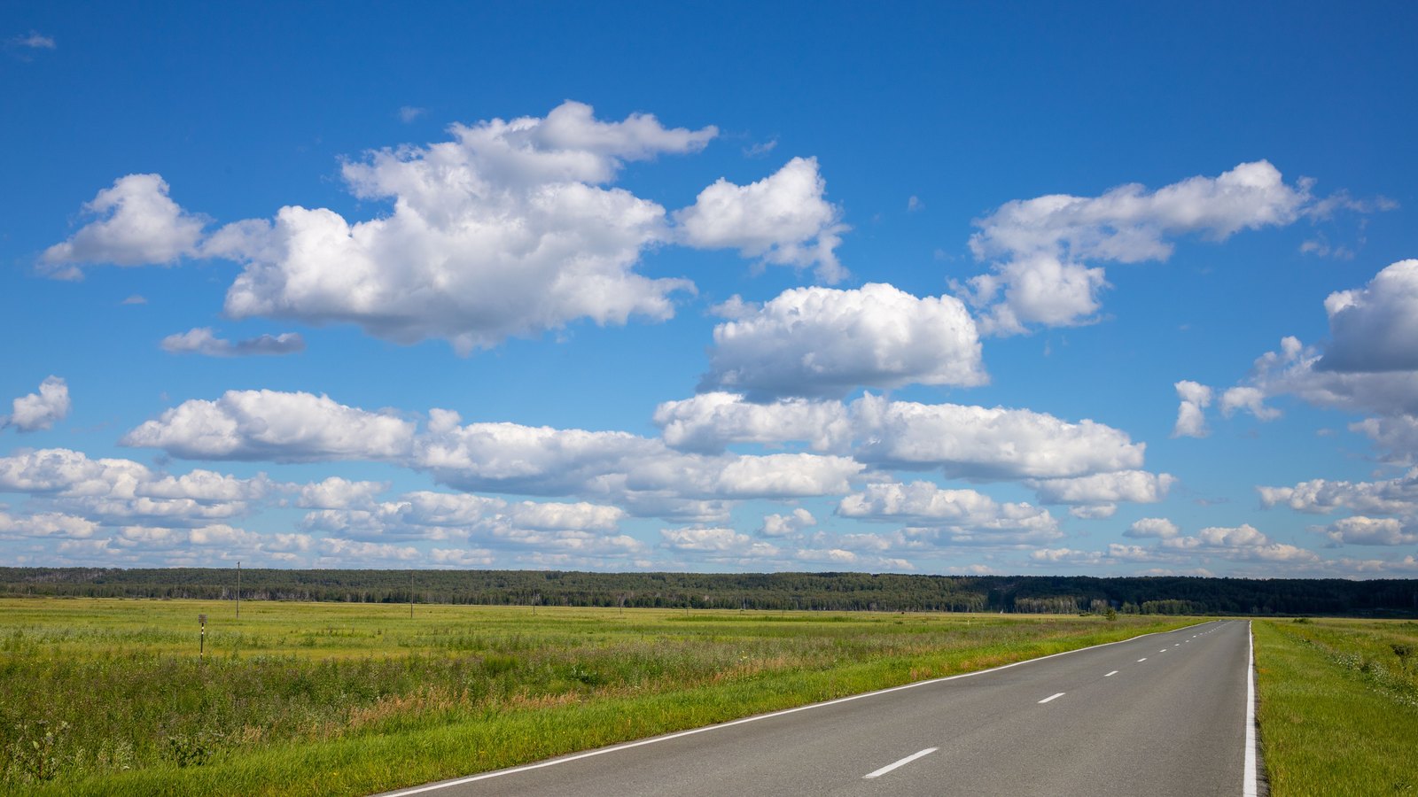 An empty two-lane road running straight ahead across flat open grassland towards a distant tree line, under a wide blue sky filled with white cumulus cloud. There are no vehicles, no people, no signs, no lettering, no number plates and no buildings anywhere in the frame. Stock photograph, not a photograph of this event.