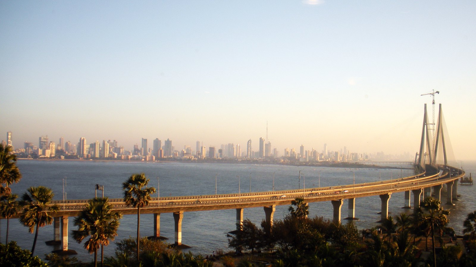 The Mumbai skyline in warm late light seen across the bay, with the curving deck and cable-stayed towers of the Bandra Worli Sea Link on the right and palm trees in the foreground. No legible text or identifiable person is in view.