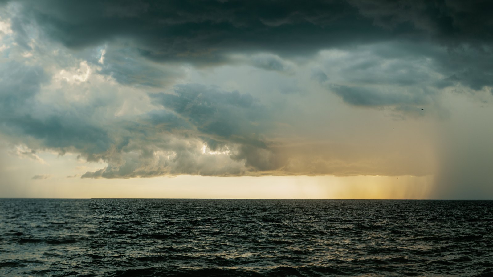 A wide panoramic view of open sea under a long band of dark storm cloud, with grey shafts of rain falling to the water on the right and a pale gold break of light along the horizon. Small birds are scattered against the cloud. No land, boats, people, signage or text are in view. Stock photo, not a photograph of this event.