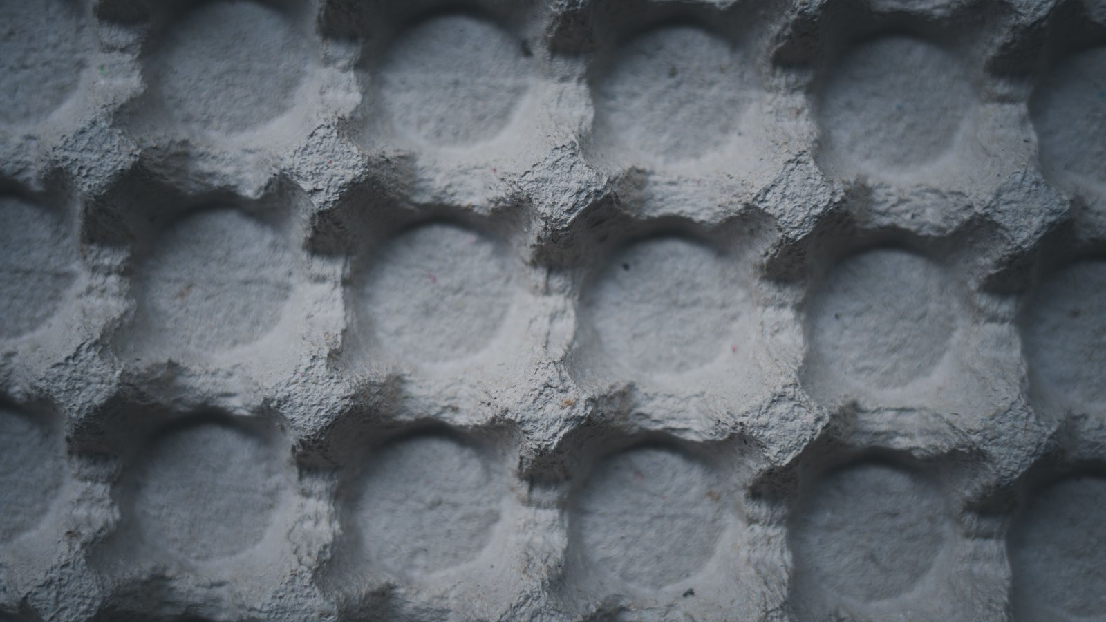 An extreme close photograph of an empty moulded pulp tray filling the whole frame, rows of shallow square cells separated by raised ridges of coarse grey recycled fibre, tiny flecks of colour caught in the pulp, side light leaving a soft shadow in every cell. No eggs, container, text, brand mark, person or place is in view.