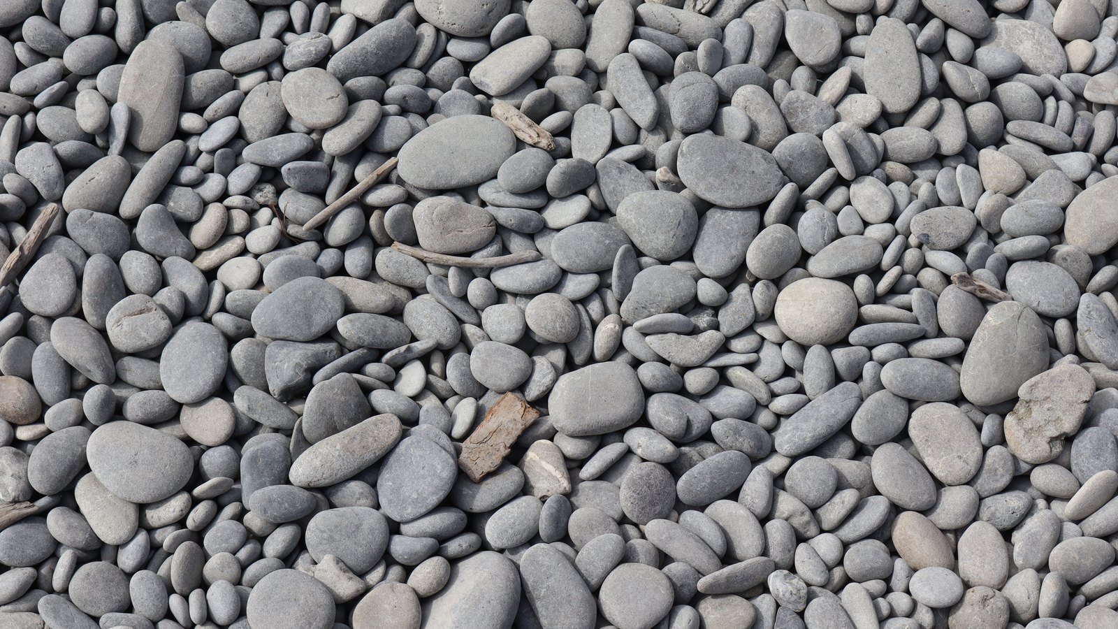 Hundreds of smooth grey pebbles of varying size packed edge to edge across the whole frame, seen from directly above, with a few small twigs among them. No text, brand mark, person, horizon or building is in view.