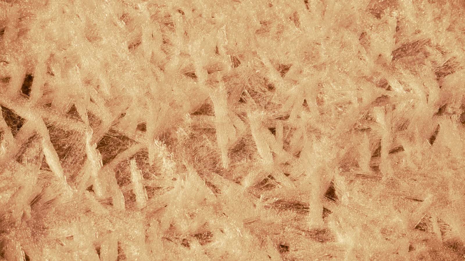 A macro of a crystalline surface filling the frame, lit warm so it reads copper and cream: flat blade-shaped ice crystals lying across one another in every direction, with darker gaps showing between them.
