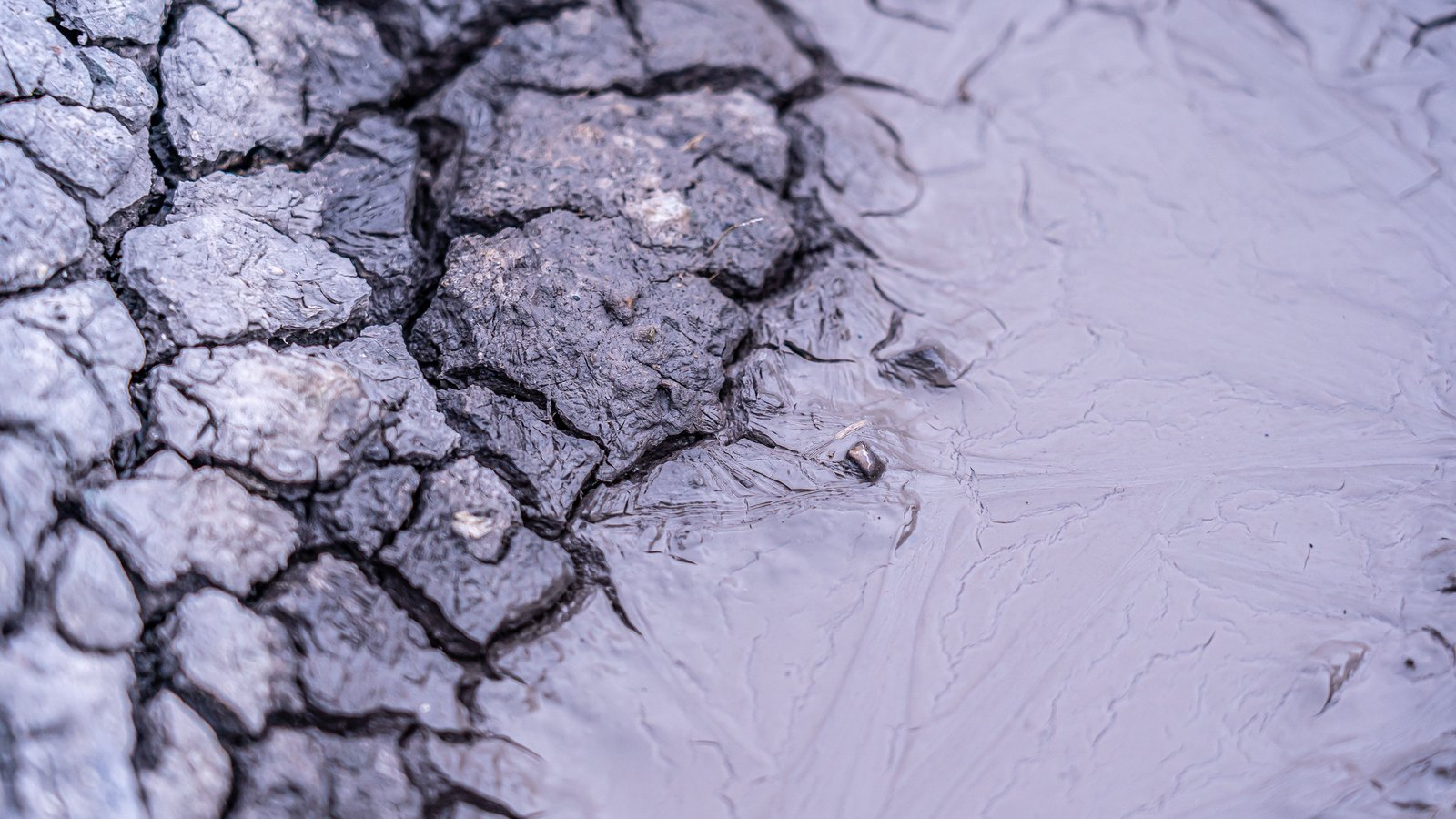 A close photograph of dried grey mud, the left half broken into hard cracked plates with deep black fissures between them and the right half a smooth wet sheet marked with fine wrinkles. No text, brand mark, person or place is in view.