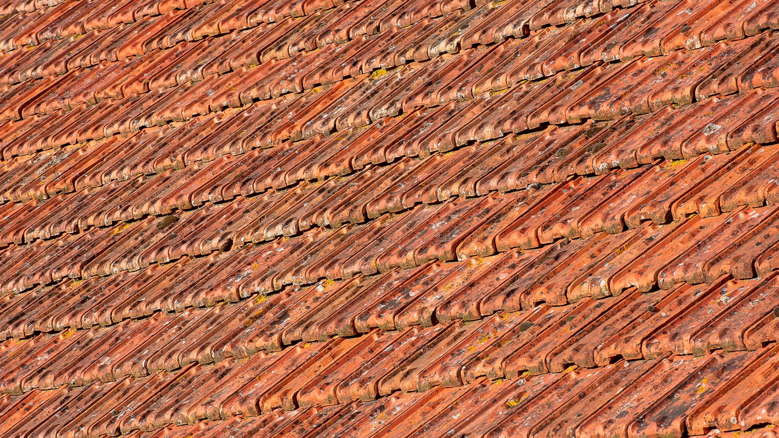 Rows of weathered terracotta barrel roof tiles running diagonally across the frame in bright sunlight, spotted with pale lichen and dark staining.