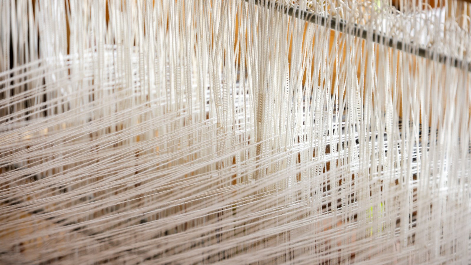 White threads passing through the heddles of a loom.
