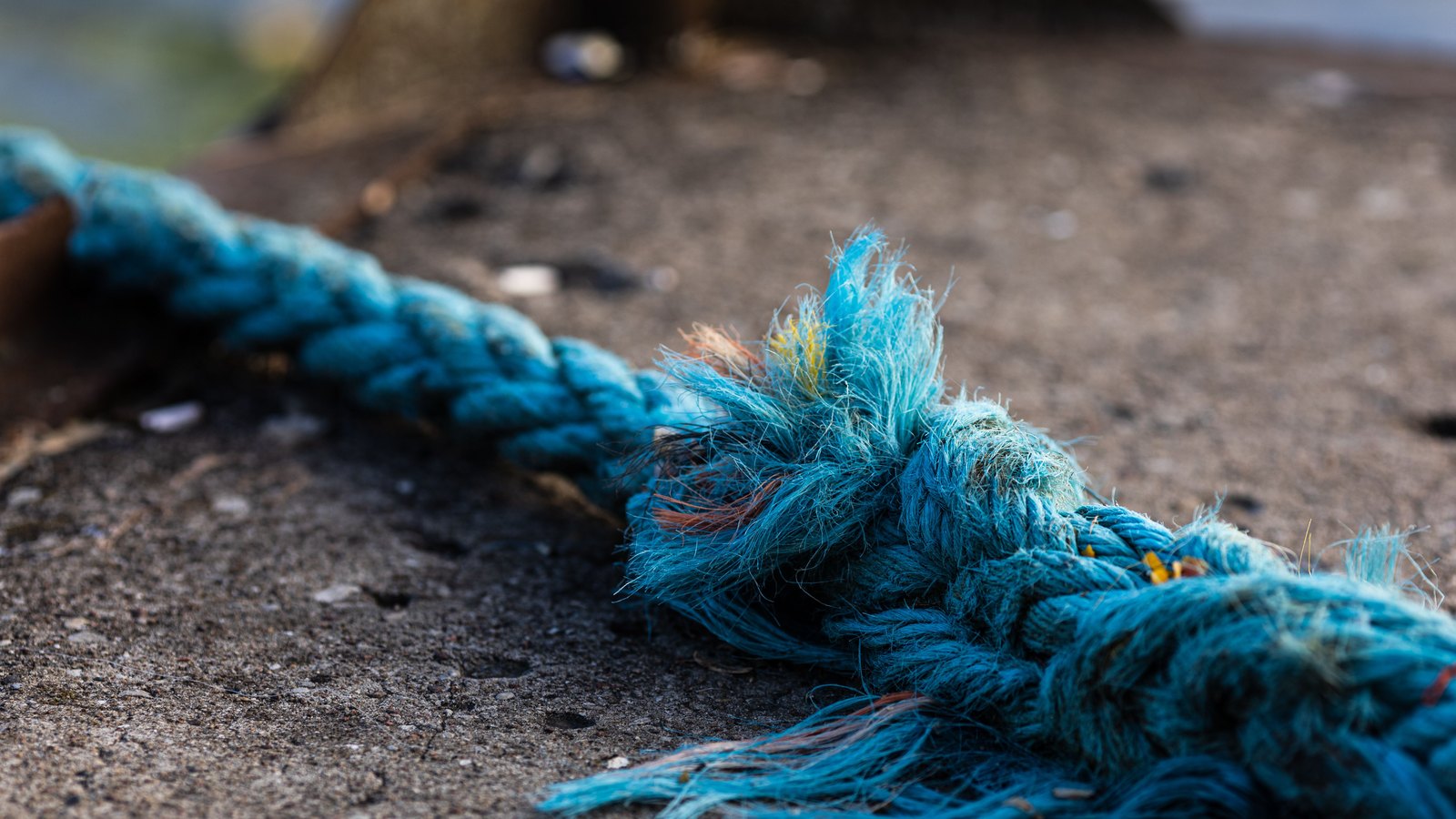 A close photograph of a thick blue braided rope lying on a grey concrete surface, its strands unravelled and frayed into loose fibres at the middle of the frame, with water blurred out of focus behind it.