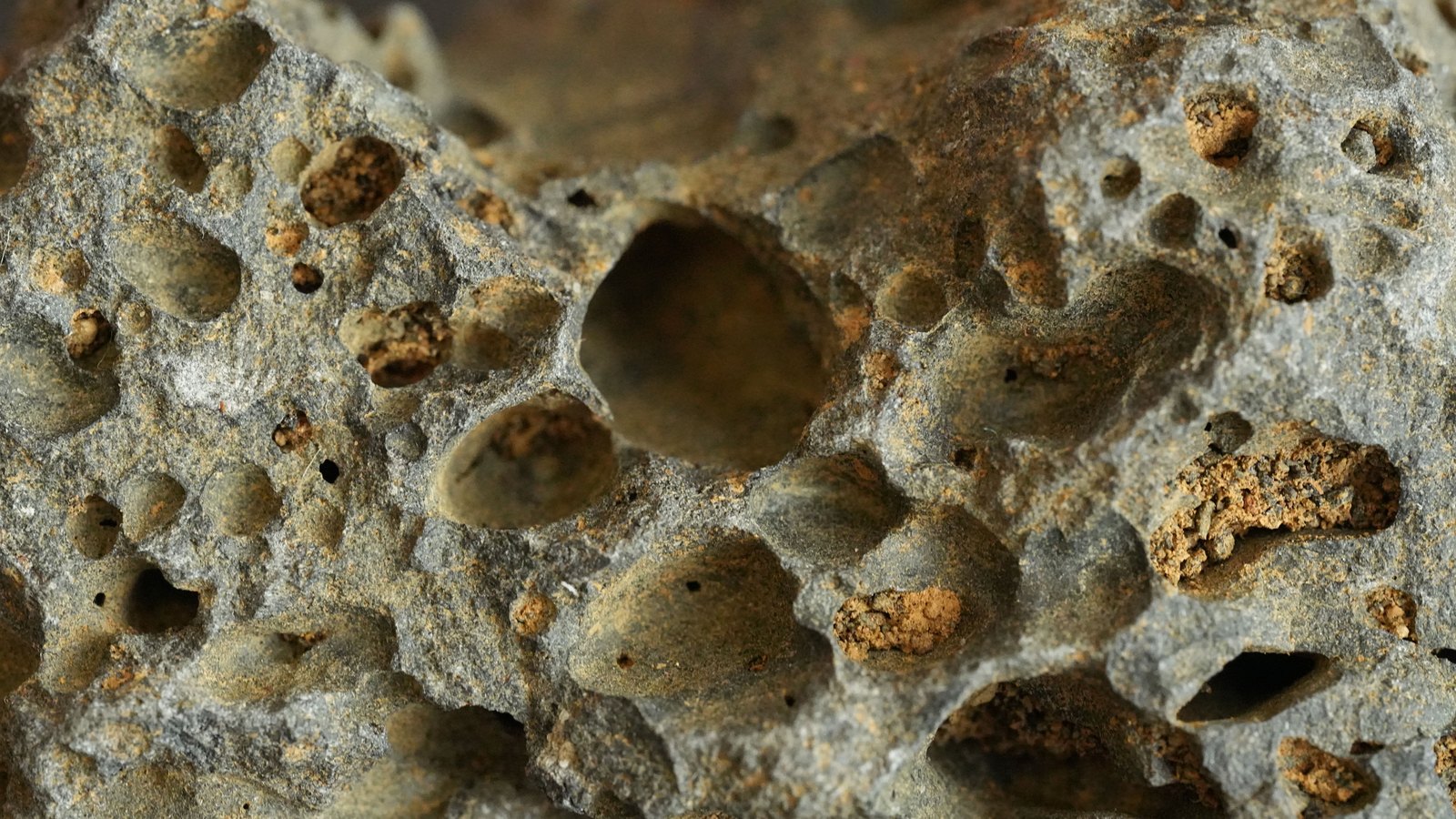 A close view of a pitted volcanic rock, its grey surface hollowed out by rounded cavities of several sizes, a number of them packed with rust-coloured ochre grains.