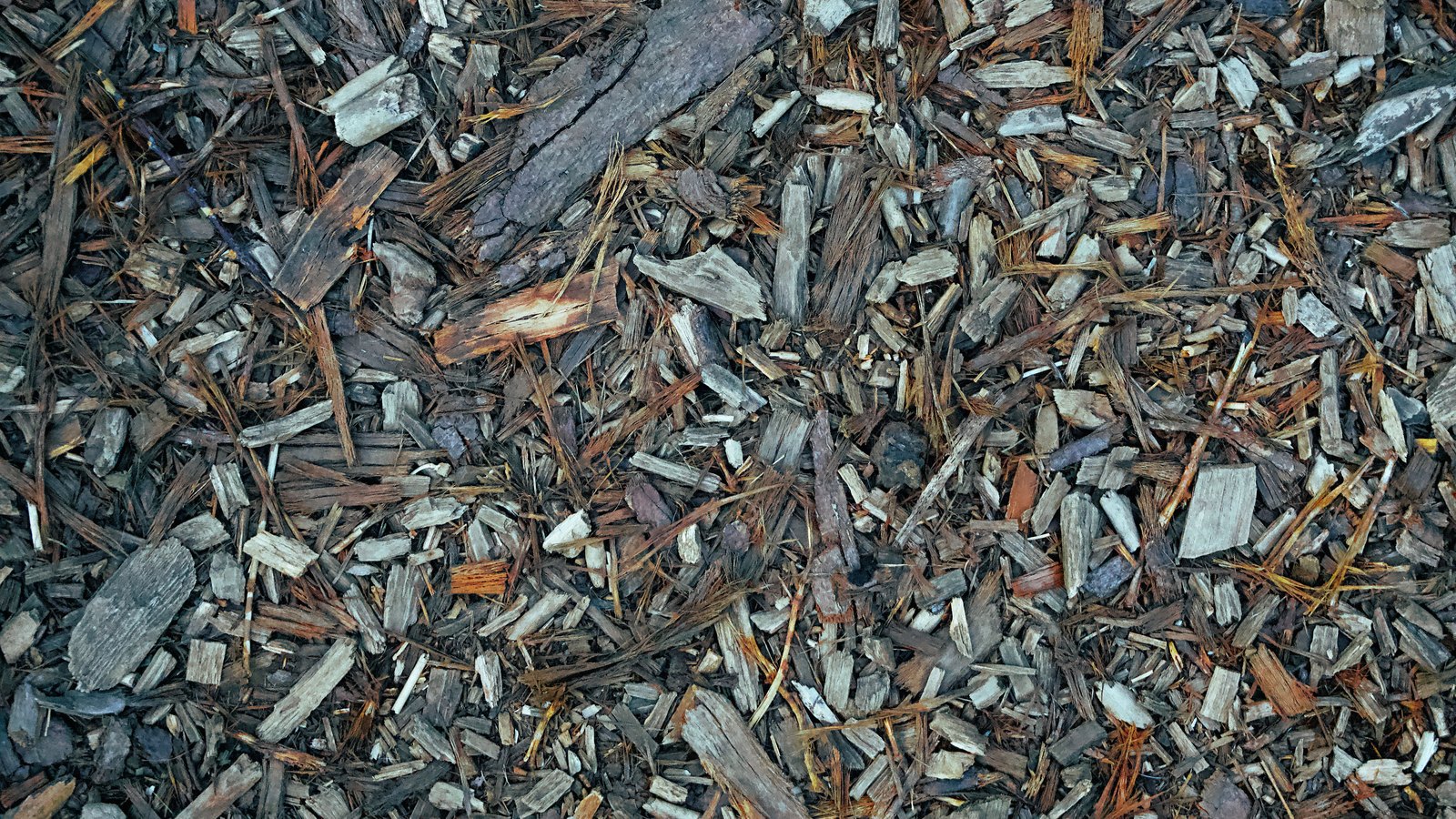 A close overhead crop of loose bark and wood chip mulch covering the ground edge to edge, in browns, greys and rust orange, with splintered chips, bark fragments and dry pine needles layered over one another. The frame holds ground covering only. No playground equipment, people, children, buildings, signage or text are in view, and this is not a photograph of Kurt Donaldson Park.