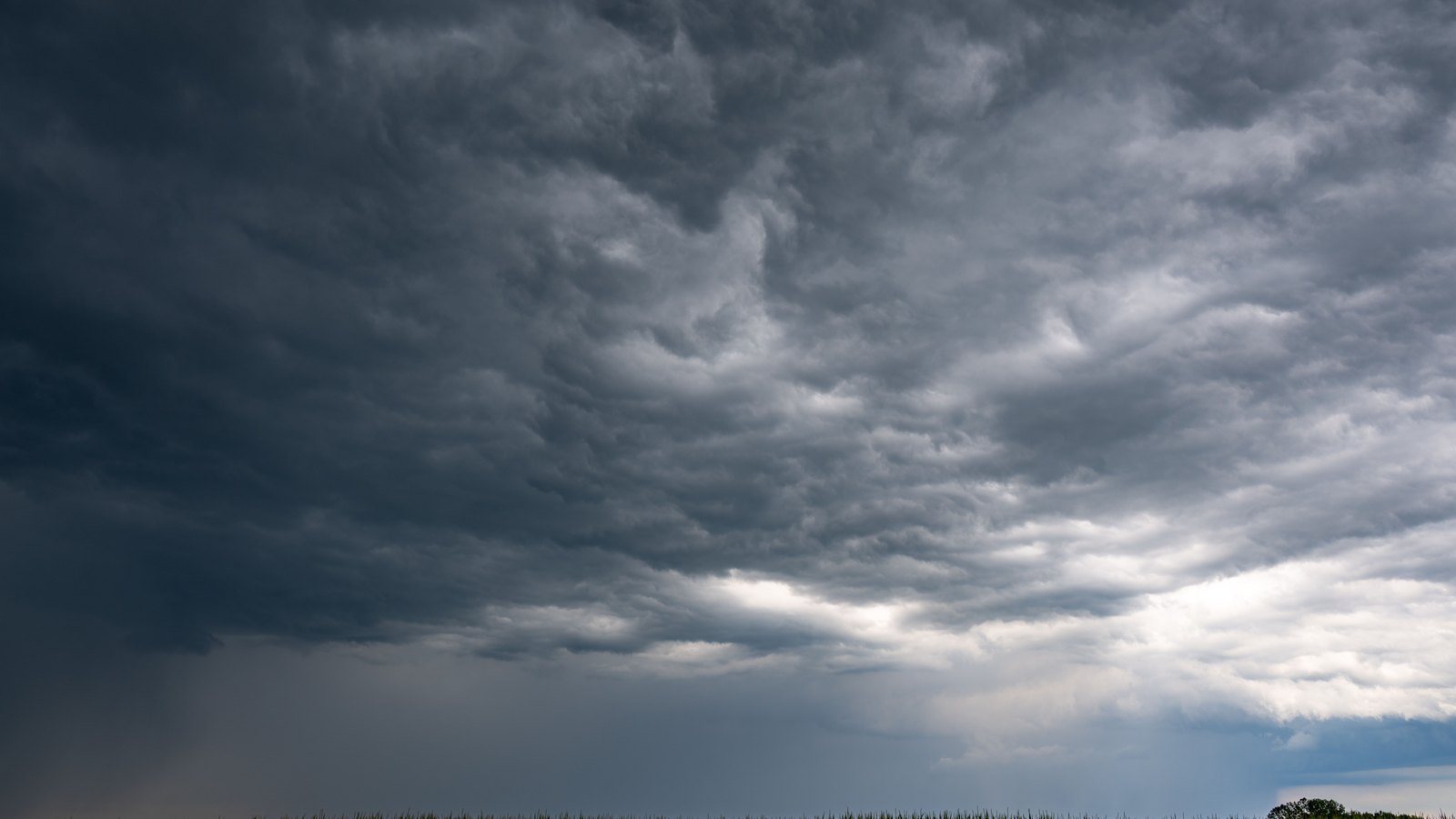 A heavy, dark grey storm cloud layer filling almost the whole frame, its underside broken into rolling lobes, with a paler band of light and a shaft of falling rain along the lower right. Across the very bottom edge runs a thin dark silhouette of grass heads with one small tree at the right. No coastline, buildings, vehicles, people, signage or text are visible, and this is not a photograph of Lala or of any Hawaiian island.