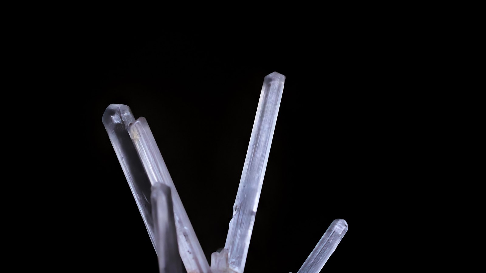 A close photograph of a cluster of clear, colourless crystal spikes growing outward from a common base, lit from the side against a plain black background.