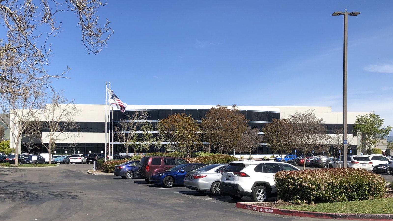 A long low white office building with bands of dark glass behind a row of trees and flagpoles, seen across a car park under a clear blue sky.