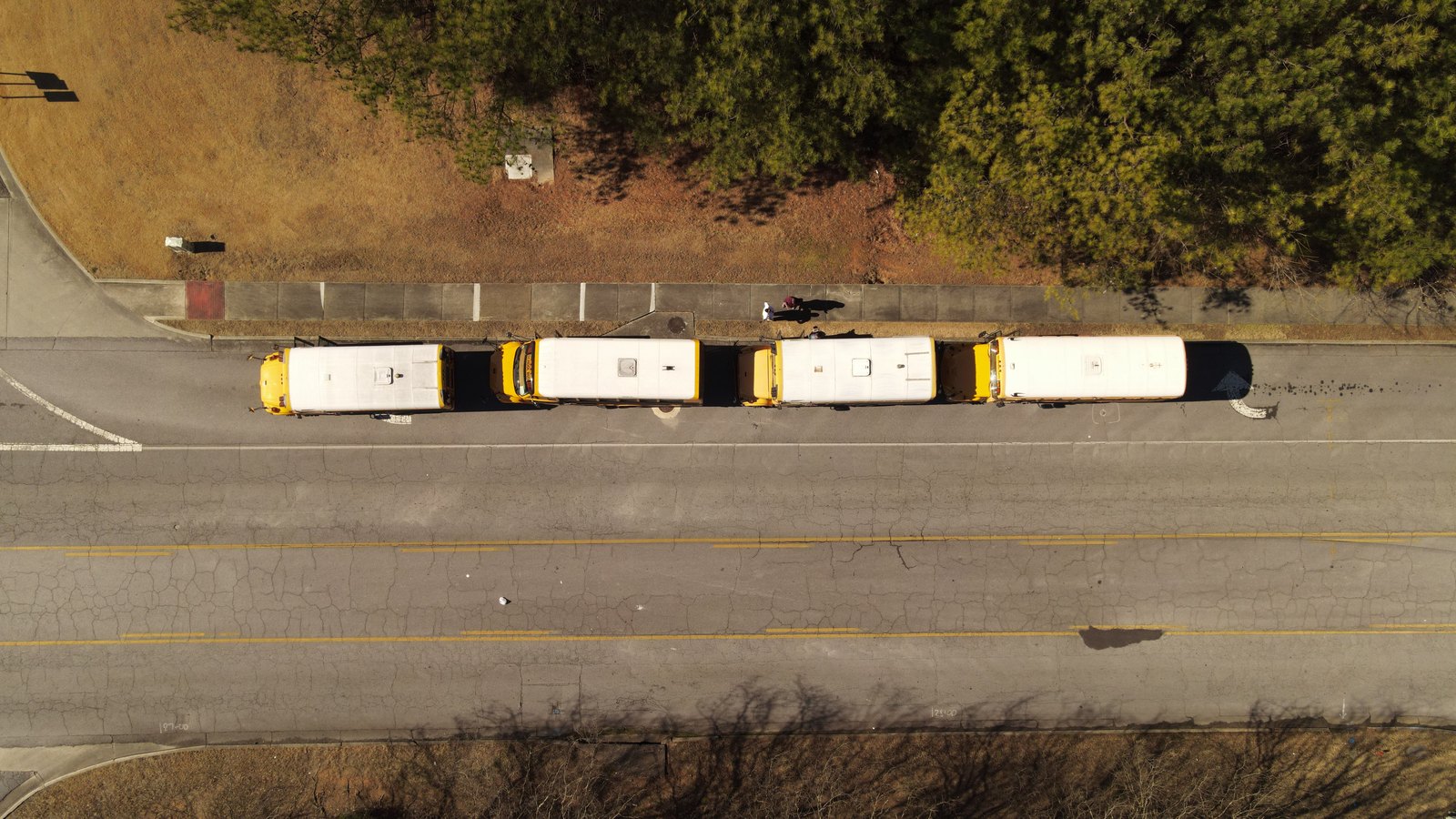 An overhead aerial view of four yellow school buses parked nose to tail in a line along one side of a two lane road, with dry grass and trees on the verge above them and empty carriageway below. No lettering, number plate, badge or landmark is legible from this height.