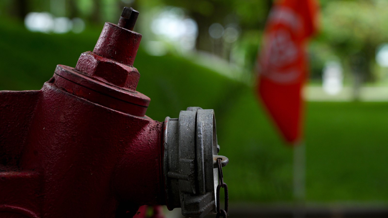 A close view of the upper half of a dark red fire hydrant filling the left of the frame, with a grey metal outlet cap on a short chain facing the camera and a squared operating nut on top. The background is thrown out of focus into green foliage and grass, with an indistinct red flag or banner on a thin pole at the right. No text, signage or lettering is legible anywhere in the frame.