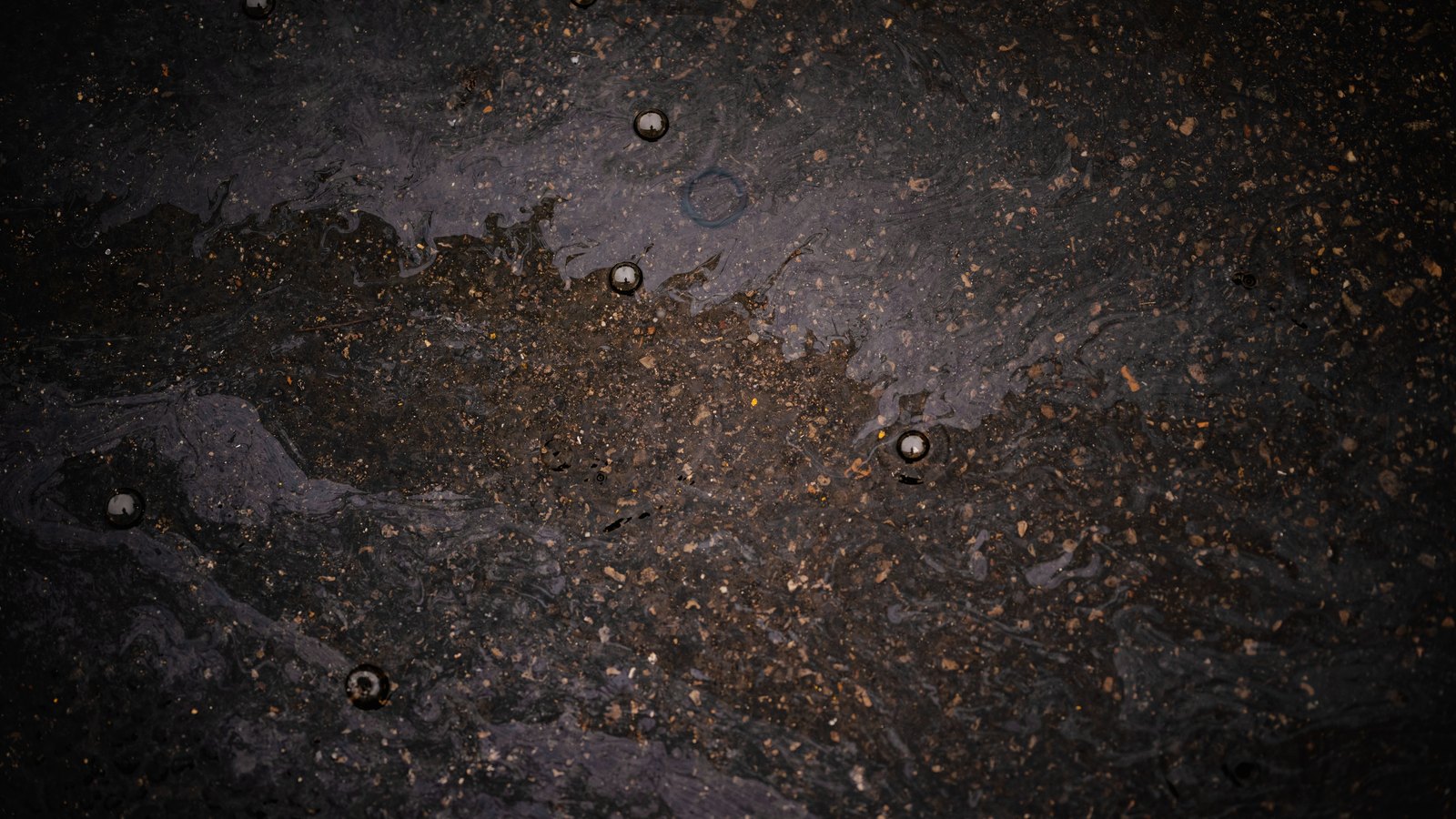 A close overhead crop of wet dark asphalt, its surface covered by a thin film of standing water broken by beaded raindrops, with loose grit and small pale stones showing through. No people, vehicles, road markings, signage or lettering are visible and no place can be identified from it. An abstract surface used as a plain illustration, not a photograph of the airport access road, of Fort Myers or of this crash, and not evidence about the condition of any road.